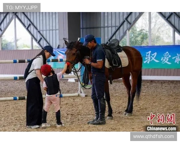 马术比赛马匹应激反应的心理干预